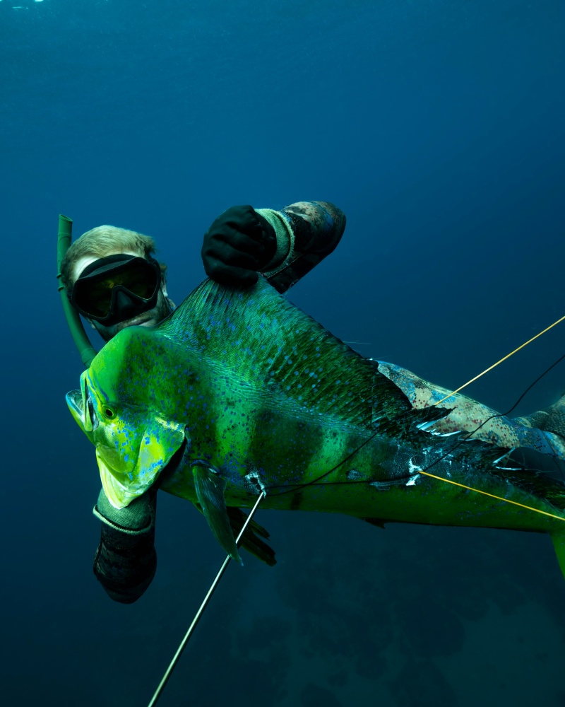 Una persona practicando pesca submarina en aguas cristalinas