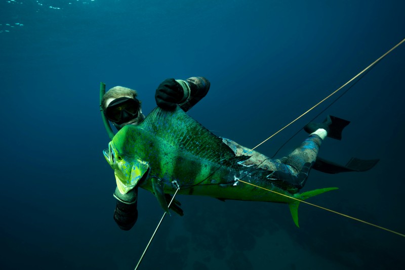 Una persona practicando pesca submarina